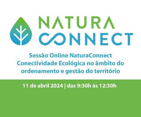 Seminário on line Natura Connect