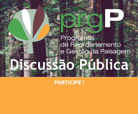 Discussão Publica Participe