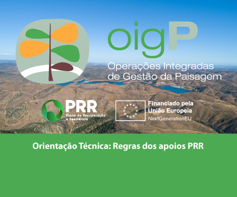 Orientação técnica: Regras dos apoios PRR