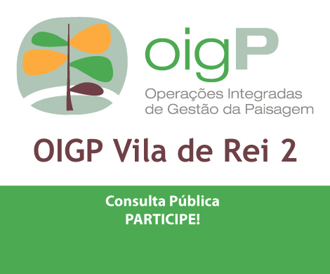 OIGP de Vila de Rei 2