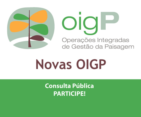 Novas OIGP