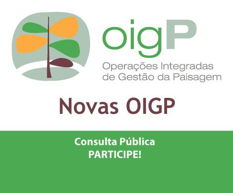 OIGP Consulta Pública. Participe!