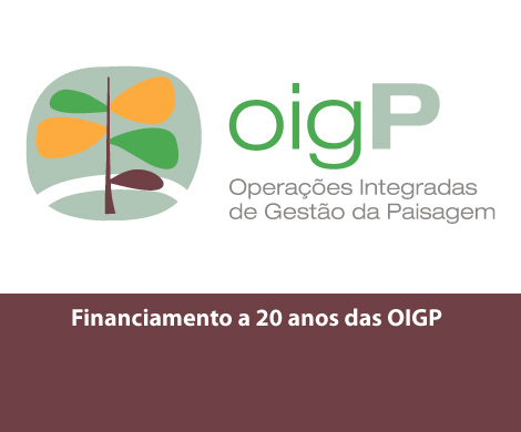 RCM de financiamento das OIGP