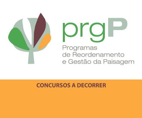 Concursos a decorrer