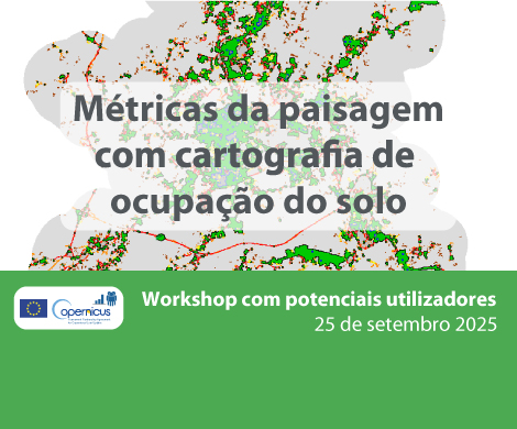 Métricas da paisagem com cartografia de ocupação do solo