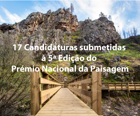 candidaturas pnap