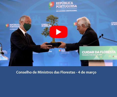 Conselho de Ministros das Florestas - 4 de março