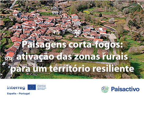 projeto PAISACTIVO