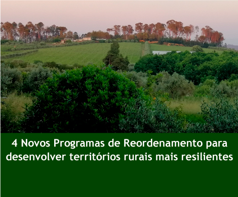 4 Novos Programas de Reordenamento para desenvolver territórios rurais mais resilientes