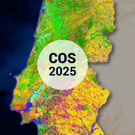 cos2025
