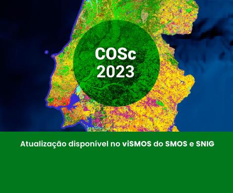 COSc2023 – Carta de Ocupação do Solo Conjuntural de 2023