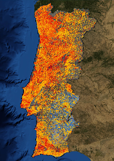 Mapa das Freguesias Vulneráveis 