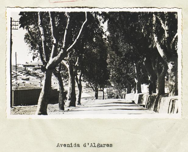 16_APU_Aljustrel_1948_Foto12.jpg