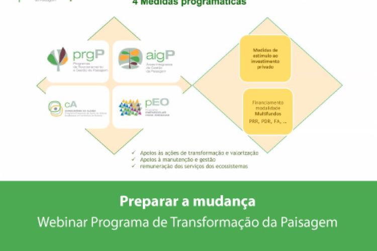Apresentação do Programa de Transformação da Paisagem