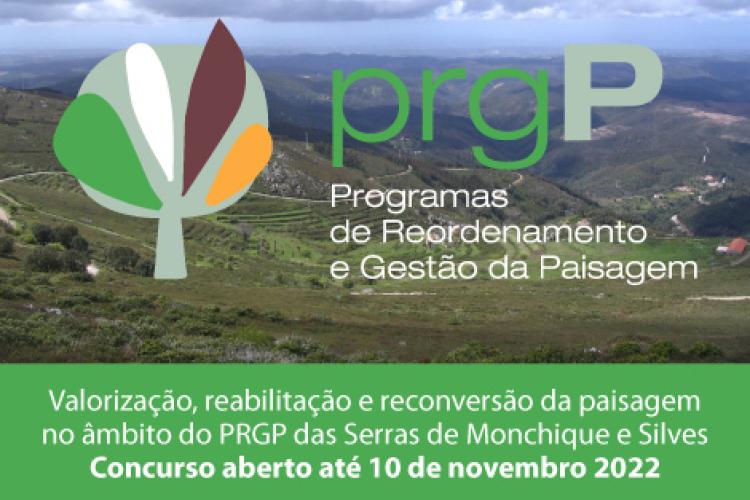PRGP - Concurso a aberto até 10 de novembro