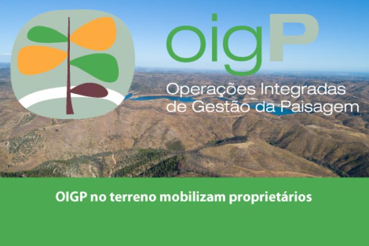 OIGP no terreno
