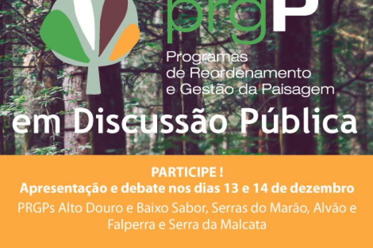 Discussão Pública nos dias 13 e 14 de dezembro