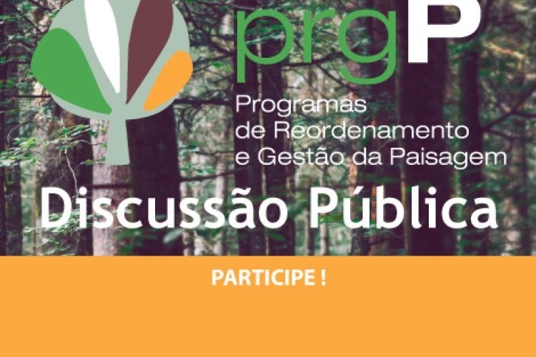 Discussão Publica Participe