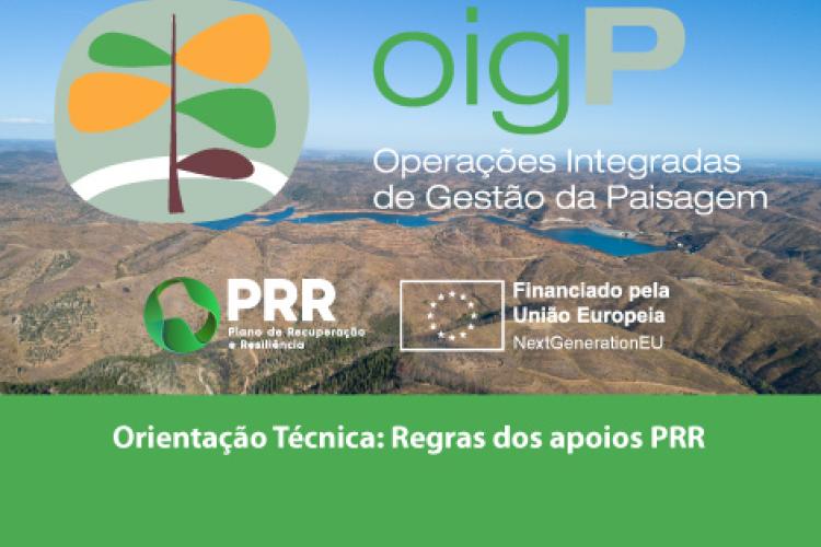 Orientação técnica: Regras dos apoios PRR