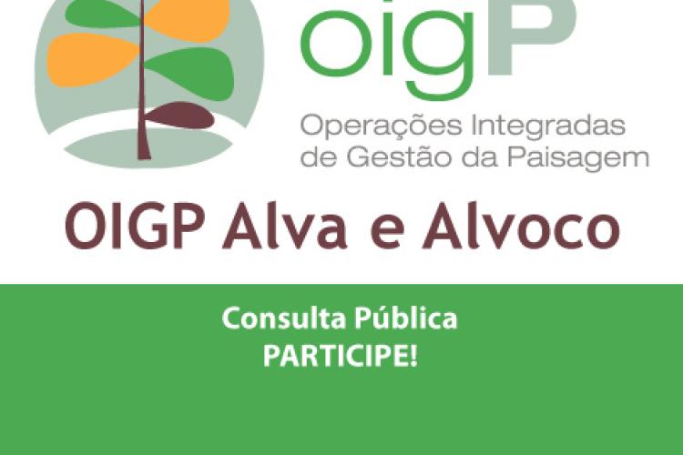 Consulta Pública OIGP