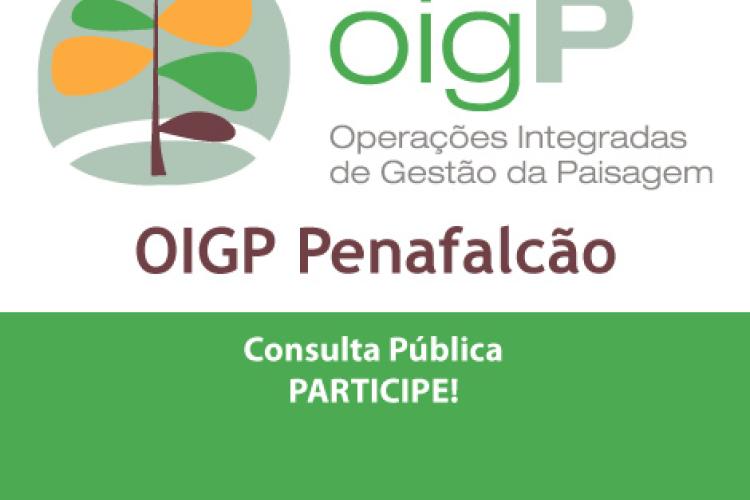 OIGP Penafalcão