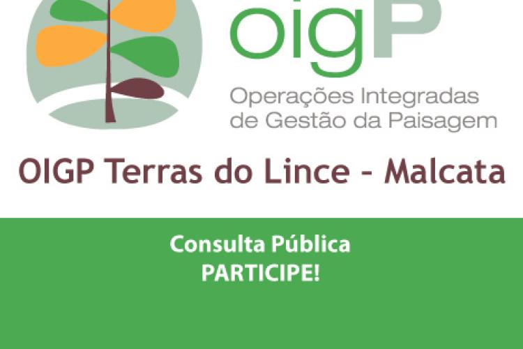 Terras do Lince - Malcata Consulta Pública