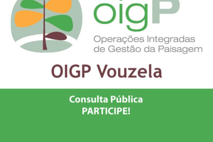 Discussão Pública da OIGP de Vouzela
