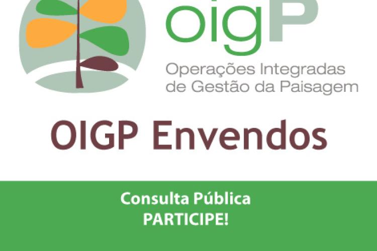 Consulta pública OIGP Envendos