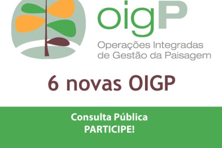 Discussão Pública das OIGP