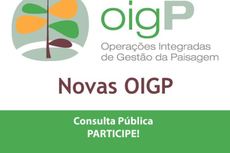 Novas OIGP