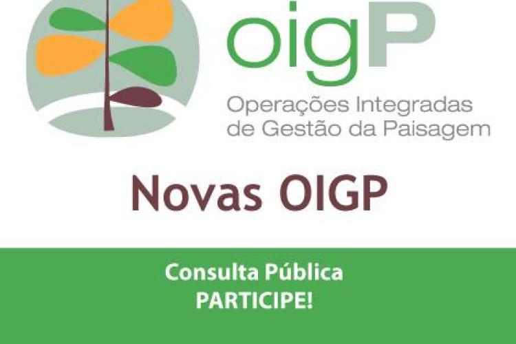 OIGP Consulta Pública. Participe!
