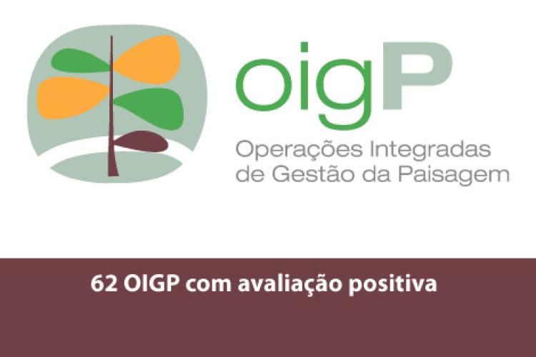 62 OIGP com avaliação positiva