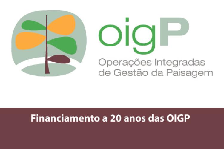 RCM de financiamento das OIGP
