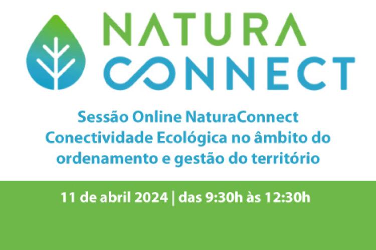 Seminário on line Natura Connect