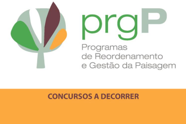 Concursos a decorrer