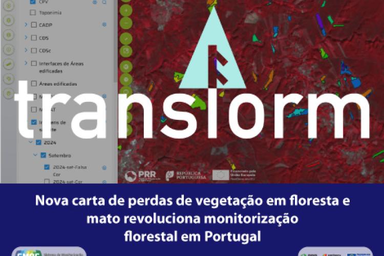 Inovação TRANSFORM