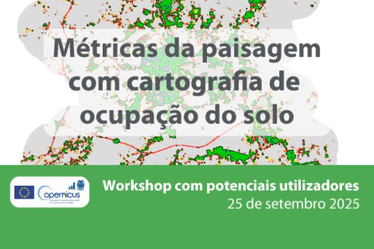 Métricas da paisagem com cartografia de ocupação do solo