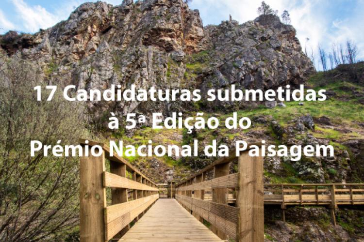 candidaturas pnap
