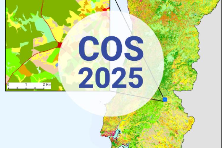 COS2025