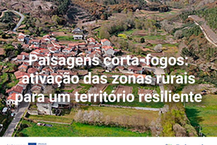 Projeto Paiactivo webinars
