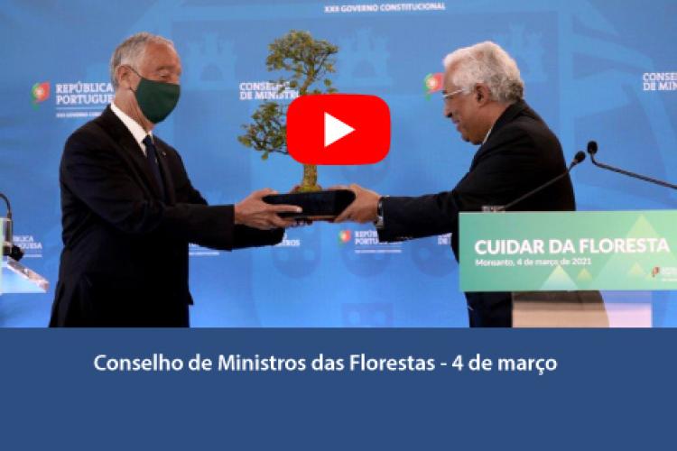 Conselho de Ministros das Florestas - 4 de março