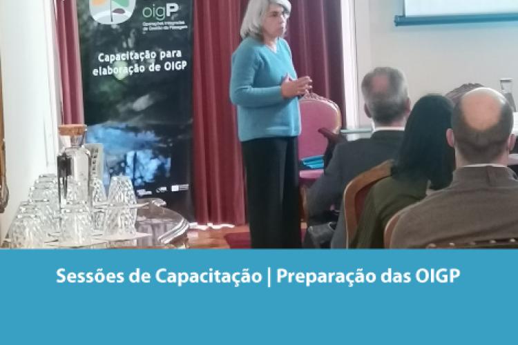 Sessões de Capacitação