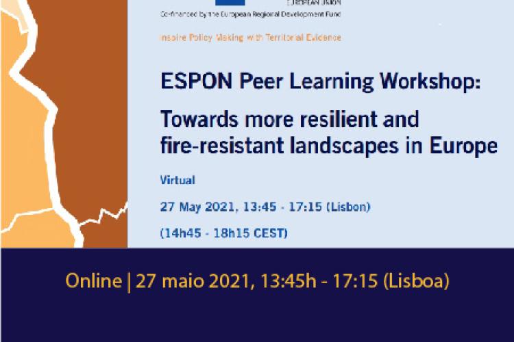 ESPON Peer Learning Workshop - Online | 27 maio 2021