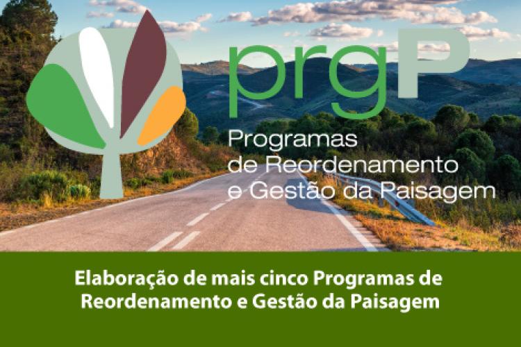 Elaboração de mais cinco Programas de Reordenamento e Gestão da Paisagem