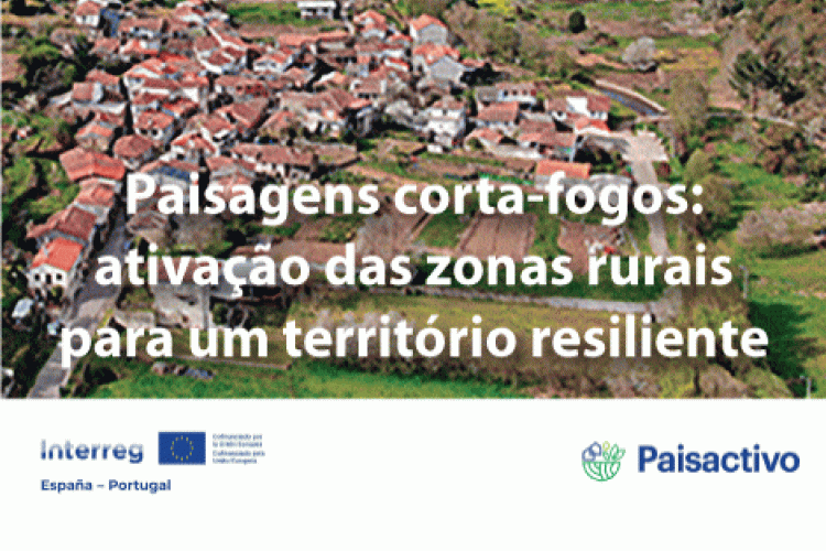 projeto PAISACTIVO