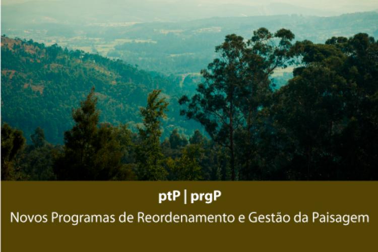 Novos Programas de Reordenamento e Gestão da Paisagem