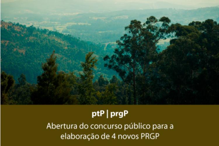 Abertura do concurso público para a elaboração de 4 novos PRGP