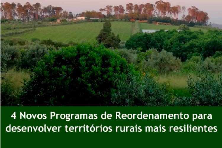 4 Novos Programas de Reordenamento para desenvolver territórios rurais mais resilientes