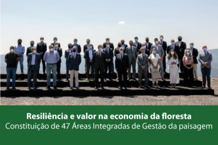 AIGP | Resiliência e valor na economia da floresta