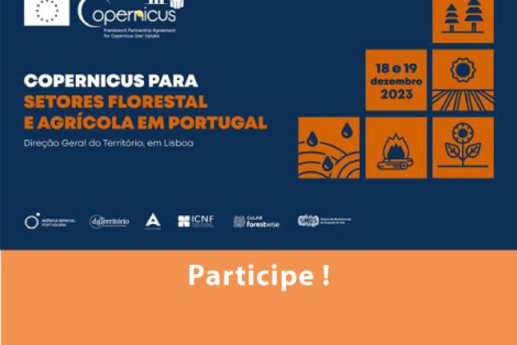 Copernicus para a Floresta e Agricultura em Portugal